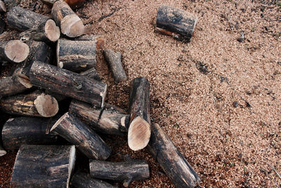 Chopped dry firewood for the heating season