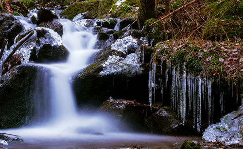 Waterfall in forest