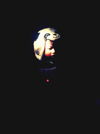 Close-up of lamp over black background