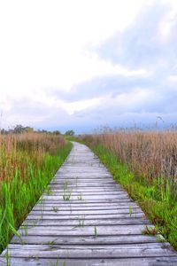 Boardwalk amidst plants on field against sky