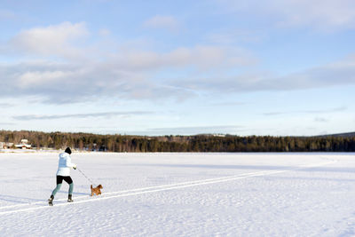 Dog on snowy field against sky