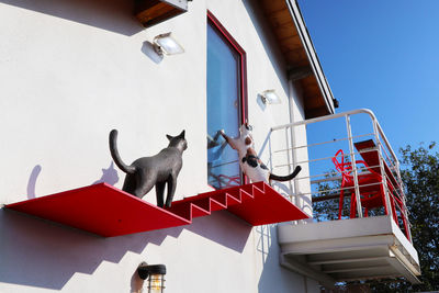 Low angle view of cat on building against sky