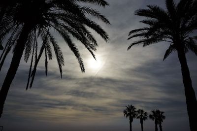 Low angle view of silhouette palm trees against sky