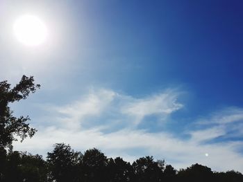 Low angle view of silhouette trees against sky