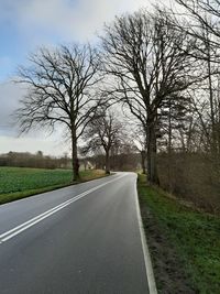 Empty road along bare trees