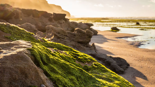 Close-up of rocks on beach against sky