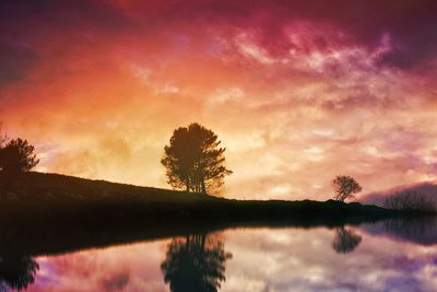 Silhouette trees against sky during sunset