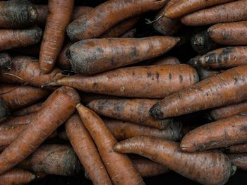 Full frame shot of carrots