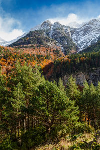 Scenic view of trees and mountains against sky