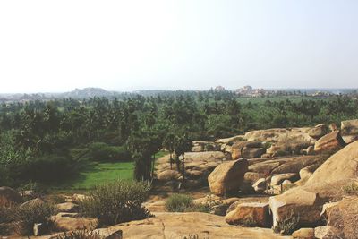 Scenic view of landscape against clear sky