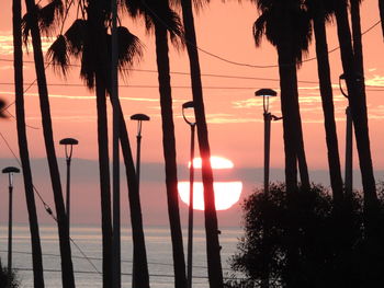 Silhouette palm trees against sky during sunset