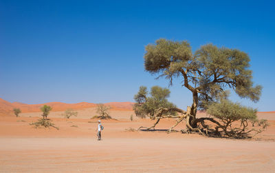 Full length of woman walking on desert against clear sky