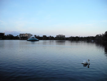 High angle view of swan on lake