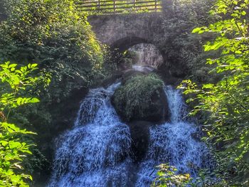 Waterfall in forest