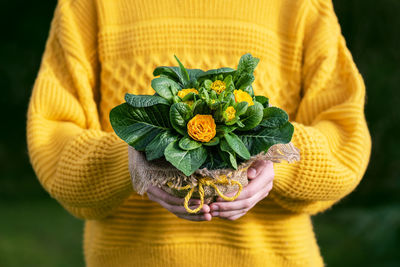 Close-up of hand holding yellow flower