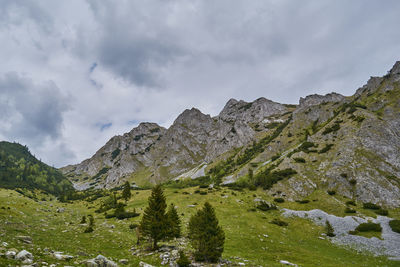 Scorota sheepfold in retezat mountain with peak forest blue sky