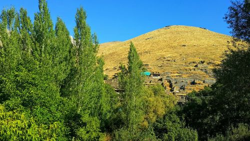 Panoramic view of trees and buildings against sky