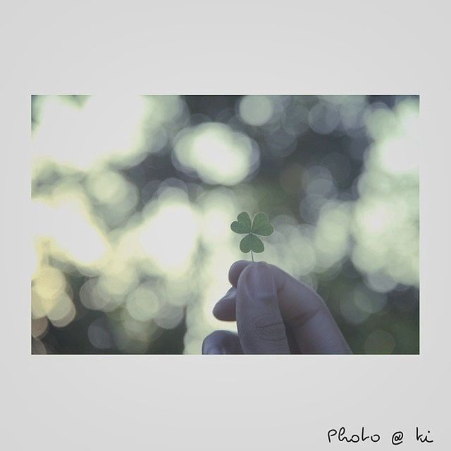 transfer print, auto post production filter, close-up, growth, leaf, focus on foreground, nature, plant, outdoors, day, low angle view, green color, sky, selective focus, part of, copy space, beauty in nature