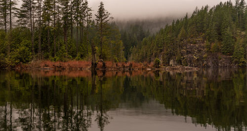 Scenic view of lake in forest against sky
