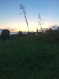 Scenic view of field against sky during sunset