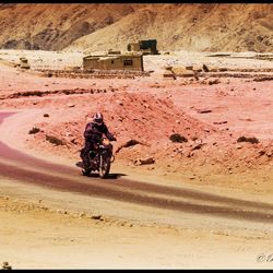 Man riding bicycle on road