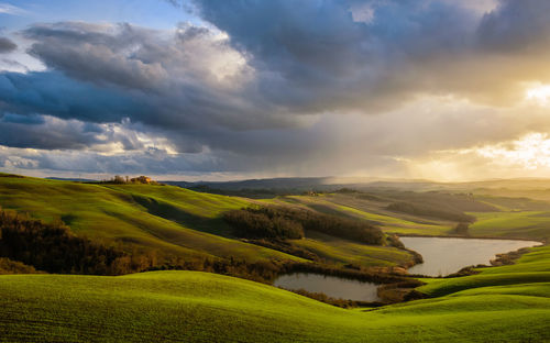 Scenic view of agricultural field against sky