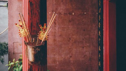 Close-up of potted plant against wall