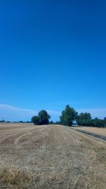 Scenic view of field against clear blue sky