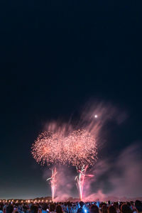 Low angle view of firework display at night