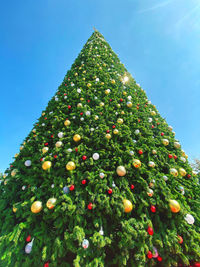 Low angle view of christmas tree against sky