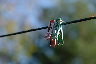 Close-up of clothespins hanging on rope