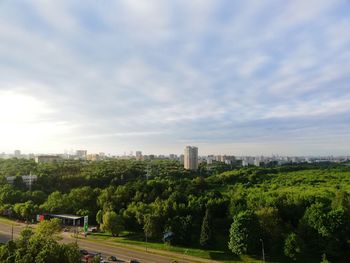 Trees and plants growing in city against sky