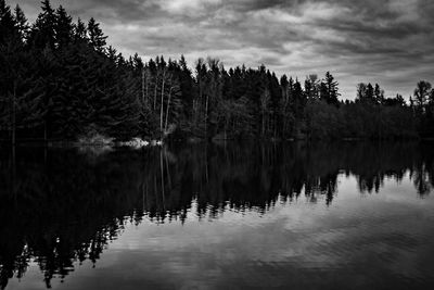 Reflection of trees in lake against sky