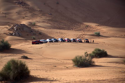 Around nazwa and pink rock desert, viewing of the sand and plant in the desert, sharjah, uae