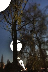 Low angle view of trees against sky