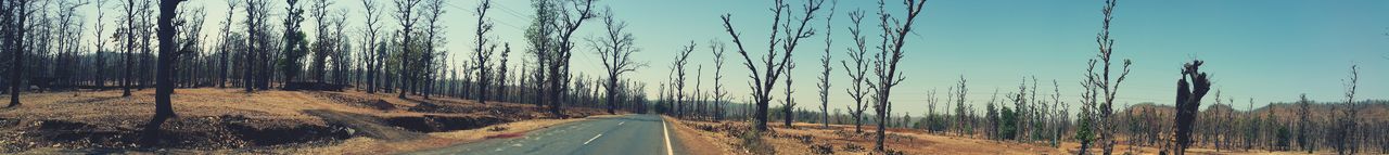 Close-up of road by trees against sky