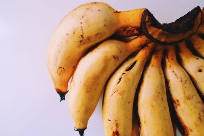 Close-up of pumpkin against white background