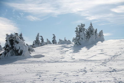 Scenic view of snow covered mountain against sky