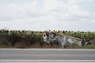 Abandoned car on field against sky