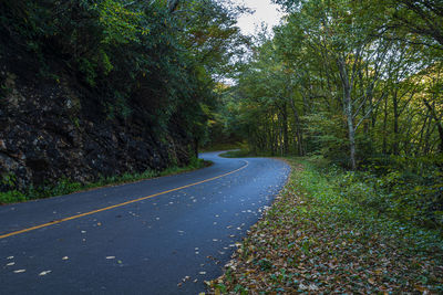 Empty road amidst trees in forest