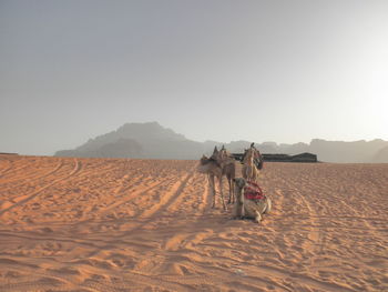 People on desert against clear sky