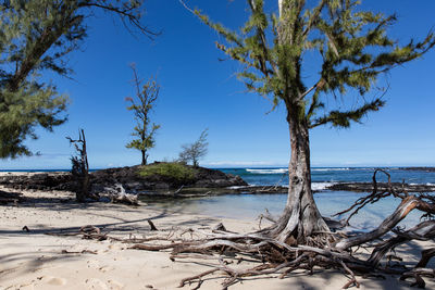 Scenic view of sea against clear blue sky