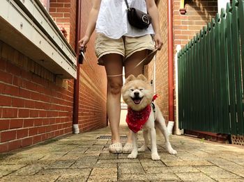 Low section of woman with dog standing on footpath