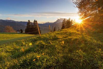 Scenic view of field against sky during sunset