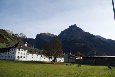Houses on field by mountain against sky