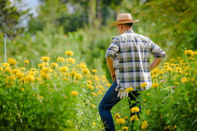 Rear view of person standing by yellow flowers on field