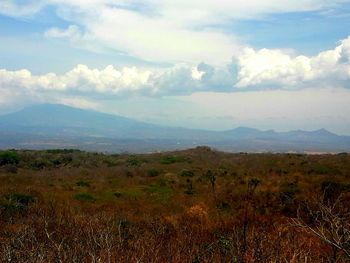 Scenic view of landscape against sky