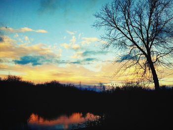 Silhouette of trees at sunset