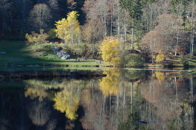 Scenic view of lake by trees during autumn