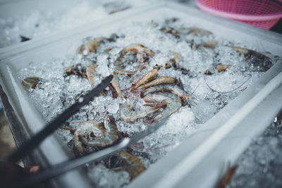 High angle view of fish for sale in market